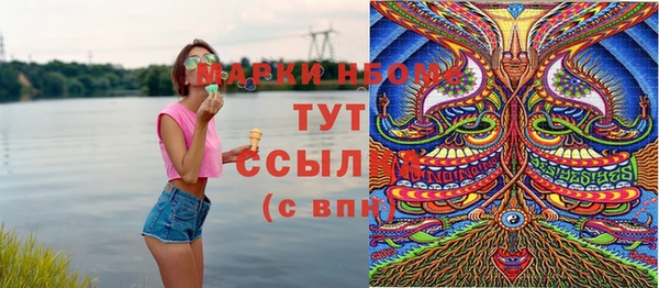 твердый Абаза
